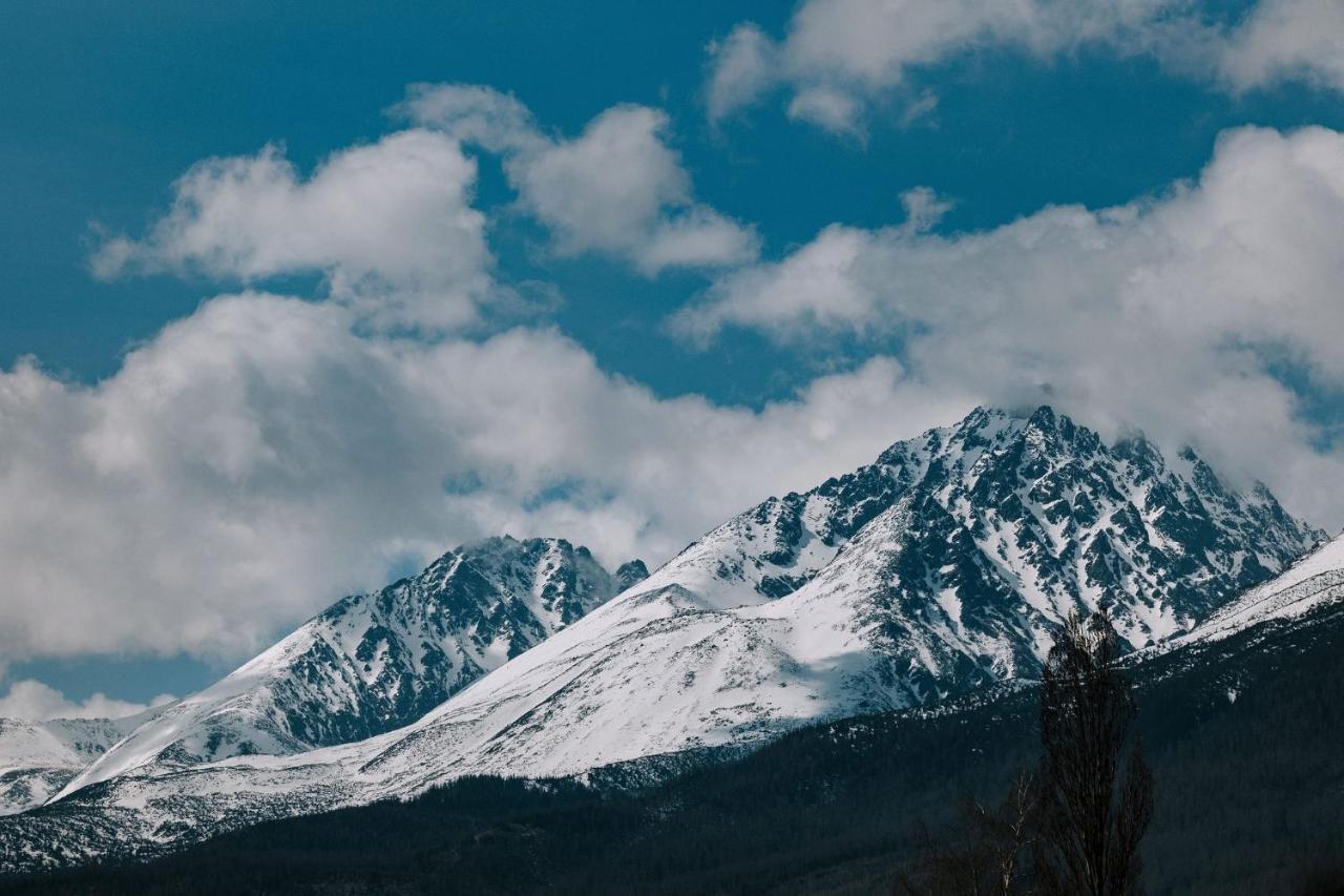 Villa Greystone Vysoké Tatry المظهر الخارجي الصورة